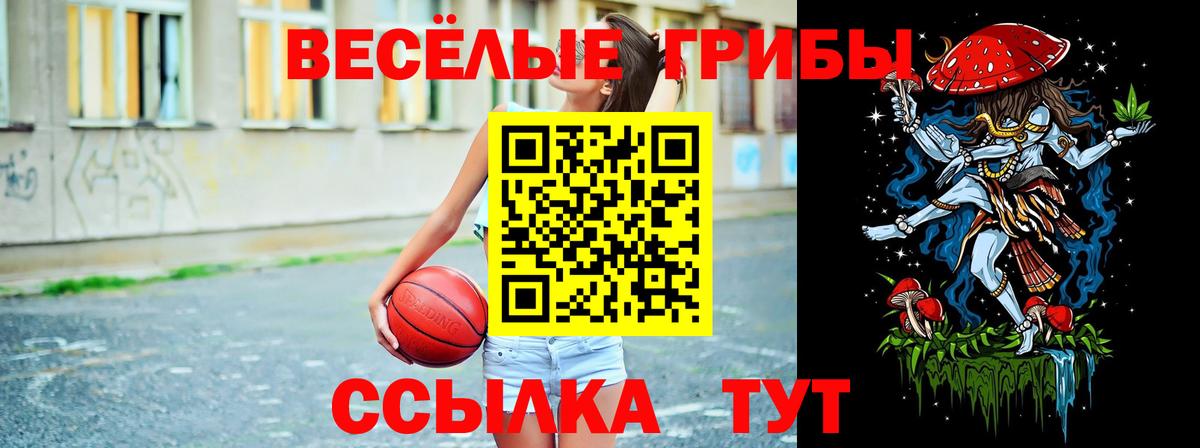 где продают наркотики  Псилоцибиновые грибы мицелий  Вход с VPN  Партизанск 