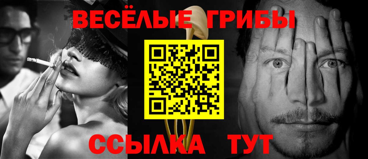 Псилоцибиновые грибы Psilocybe Партизанск